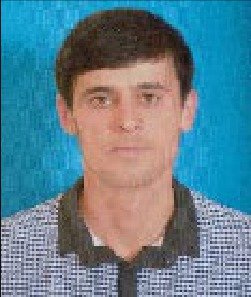 Faiq İbadov